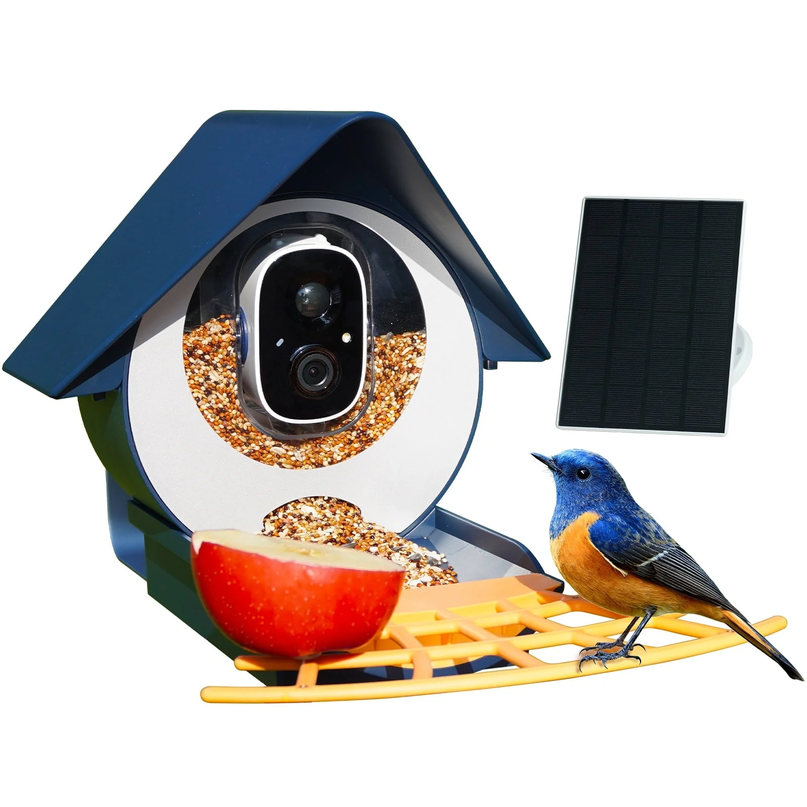 Smart Bird Feeder with Camera, Birdkiss Outdoor Bird Camera with 1080P HD Video, APP Real-Time Notifications, AI Identify Bird, WiFi Connection & Solar Panel, Blue